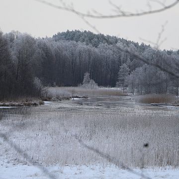 Zimowe ptakoliczenie Grafika Zimowe ptakoliczenie