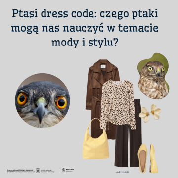 Ptasi dress code: czego ptaki mogą nas nauczyć w temacie mody i stylu? Grafika Ptasi dress code: czego ptaki mogą nas nauczyć w temacie mody i stylu?