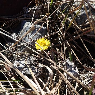 Czysta Rzeka - Czysta Każa i Chałupy - podsumowanie akcji Grafika Czysta Rzeka - Czysta Każa i Chałupy - podsumowanie akcji